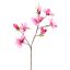 MAGNOLIA SPRAY 83CM BEAUTY