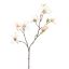 MAGNOLIA SPRAY 83CM CREAM