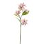 SMALL MAGNOLIA 75CM MAUVE