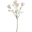 TULIP MULTI SPRAY 90CM CREAM