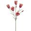 TULIP MULTI SPRAY 90CM FLAME
