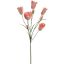 TULIP MULTI SPRAY 90CM PEACH