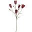 TULIP MULTI SPRAY 90CM RED