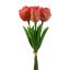 TULIP BUNDLE 33CM CORAL
