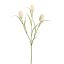 TULIP SPRAY 60CM CREAM