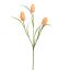 TULIP SPRAY 60CM PEACH