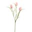 TULIP SPRAY 60CM PINK