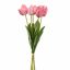 TULIP X5 BUNDLE 48CM BEAUTY