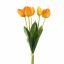 TULIP X5 BUNDLE 48CM ORANGE