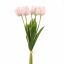 TULIP X5 BUNDLE 48CM PINK