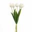 TULIP X5 BUNDLE 48CM WHITE