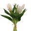 TULIP X5 BUNDLE 30CM CREAM