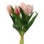 TULIP X5 BUNDLE 30CM LIGHT PINK