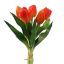 TULIP X5 BUNDLE 30CM ORANGE