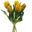 TULIP X5 BUNDLE 30CM YELLOW