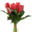 TULIP X7 BUNDLE 30CM BEAUTY