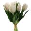 TULIP X7 BUNDLE 30CM CREAM