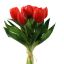 TULIP X7 BUNDLE 30CM RED