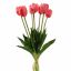 TULIP X7 BUNDLE 40CM BEAUTY