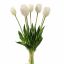 TULIP X7 BUNDLE 40CM CREAM
