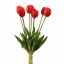 TULIP X7 BUNDLE 40CM RED