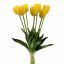 TULIP X7 BUNDLE 40CM YELLOW