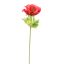ANEMONE 60CM BEAUTY
