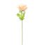 ANEMONE 60CM PEACH