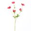 ANEMONE SPRAY 81CM BEAUTY