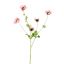 ANEMONE SPRAY 81CM CREAM PINK