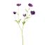 ANEMONE SPRAY 81CM PURPLE