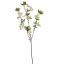 APPLE BLOSSOM 90CM CREAM