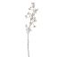 PEACH BLOSSOM 110CM CREAM