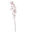 PEACH BLOSSOM 110CM PINK