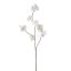 MEDIUM BLOSSOM 86CM CREAM