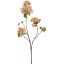 APPLE BLOSSOM 75CM PEACH
