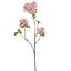 APPLE BLOSSOM 75CM PINK