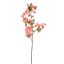 CHERRY BLOSSOM 75CM BEAUTY