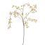 LARGE CHERRY BLOSSOM 115CM CREAM