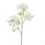BLOSSOM 80CM CREAM