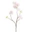 PEACH BLOSSOM 78CM CREAM PINK