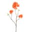 PEACH BLOSSOM 78CM ORANGE