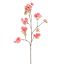 LARGE PEACH BLOSSOM 115CM BEAUTY