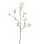 LARGE PEACH BLOSSOM 115CM CREAM