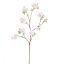 LARGE PEACH BLOSSOM 115CM CREAM PINK