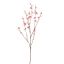 LARGE BLOSSOM 130CM BEAUTY