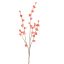WINTERSWEET 85CM PINK