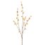 WINTERSWEET 85CM PINK YELLOW
