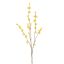 WINTERSWEET 85CM YELLOW