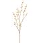 LARGE WINTERSWEET 125CM PINK YELLOW